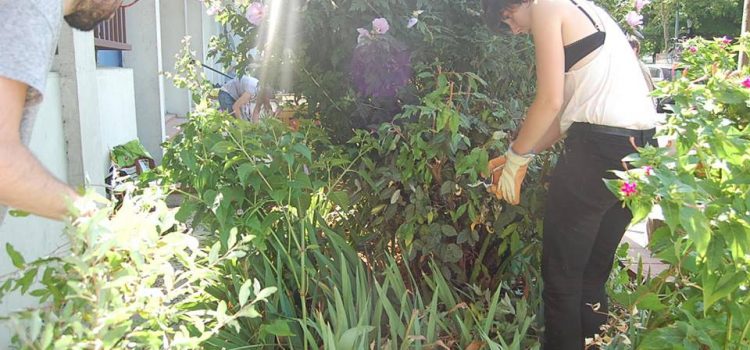 Jardin des Minimes 3.0 Jardin des Minimes 3.0